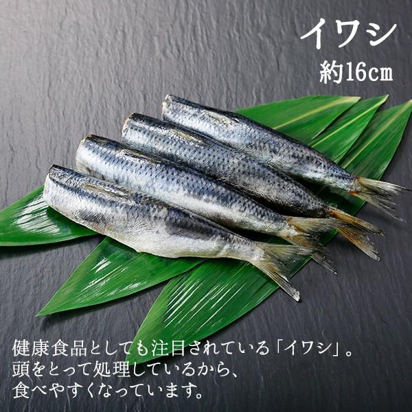 北海道 干物 セット 詰め合わせ 9点 内祝い お返し 魚 海鮮 ギフト ひもの ホッケ 秋鮭 コマイ 鰯 魚の干物