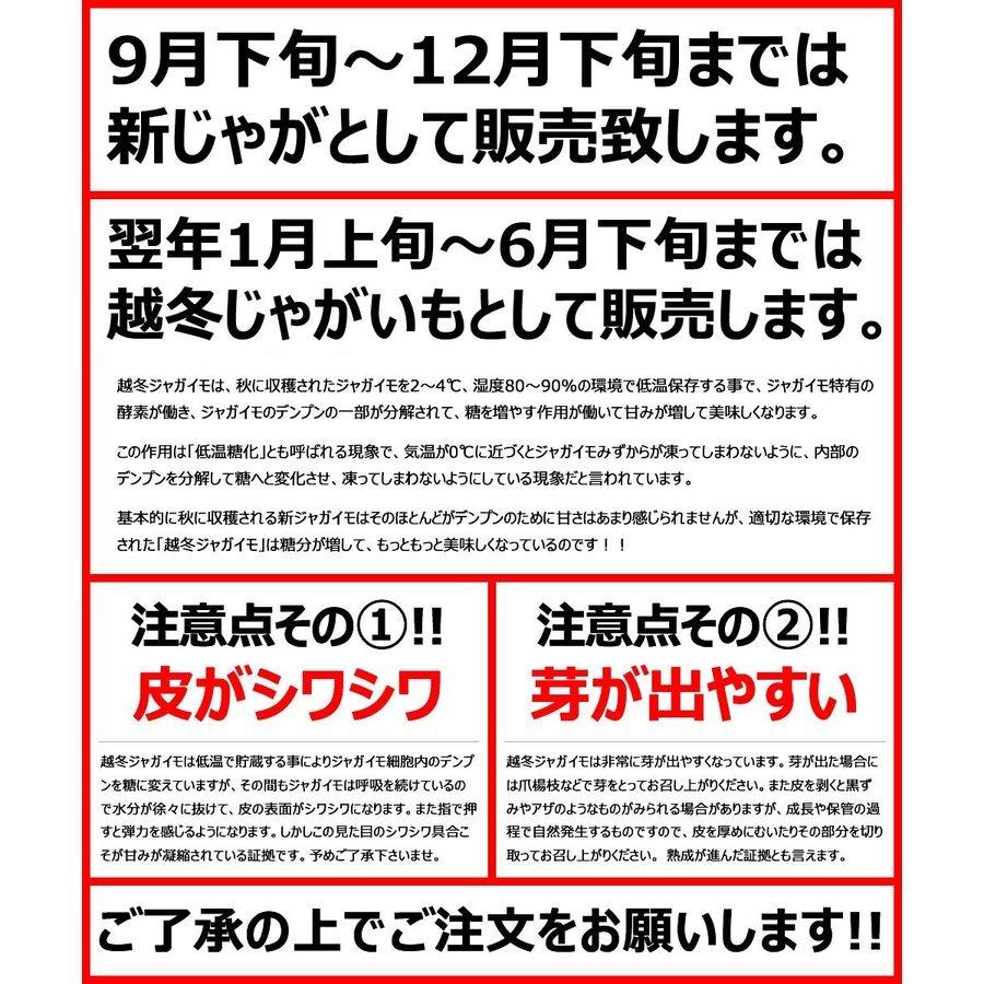 北海道産 じゃがいも ご家庭用 ひと口 インカのめざめ 3kg ジャガイモ 馬鈴薯 新じゃが 越冬 野菜 自宅用 北海道 食品 グルメ 送料無料 お取り寄せ