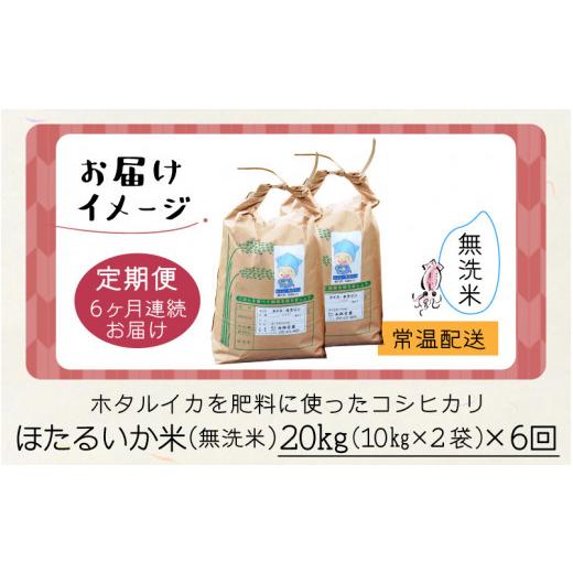 ふるさと納税 富山県 滑川市 ほたるいか米（無洗米20kg）×6回 計120kg