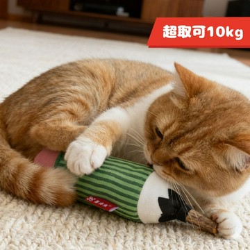 免運🍀鉛筆響紙玩具🍀貓玩具 寵物玩具 逗貓玩具 響紙玩具 發聲玩具 木天蓼玩具