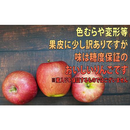 ふるさと納税 2月発送 訳あり EM葉取らずサンふじ約10kg 糖度13度以上　 青森県弘前市