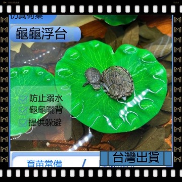 🔥台灣出貨🔥可開發票✅【大同小藝】荷葉烏龜曬臺浮臺用品 巴西龜 爬臺 龜缸造景 爬坡 水族箱浮島 曬背臺