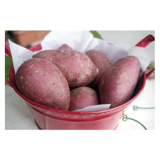 ふるさと納税 島根県 飯南町 高糖度サツマイモ「森の絹」生イモ３kg