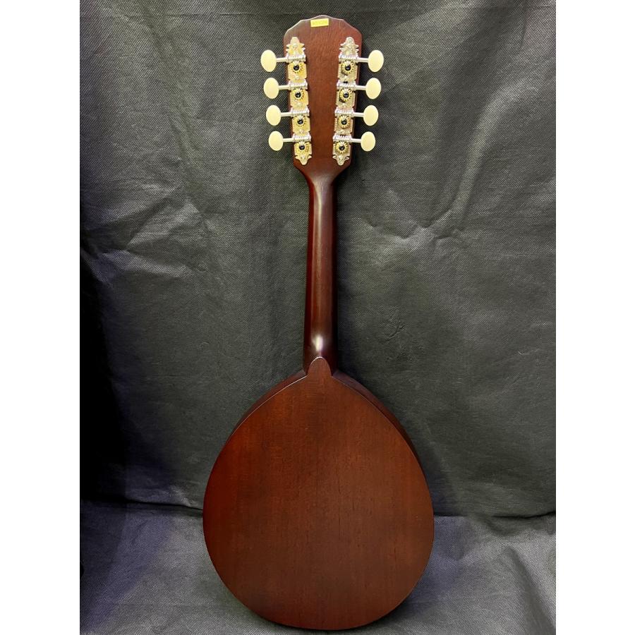 Kentucky KM-120  Army-Navy Special Mandolin Aモデル マンドリン