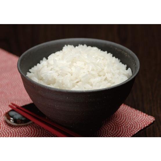 令和5年 山形県産 つや姫特別栽培米 白米 2kg×2袋