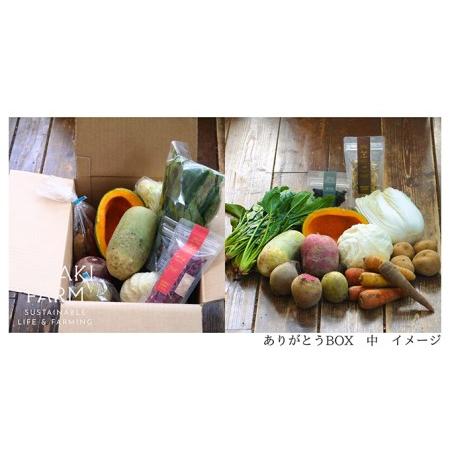 ふるさと納税 〈自然栽培〉佐々木ファーム　旬の野菜詰め合わせ　〜ありがとうBOX 2023・中〜　やさい　直送　北海道　洞爺湖町 北海道洞爺湖町