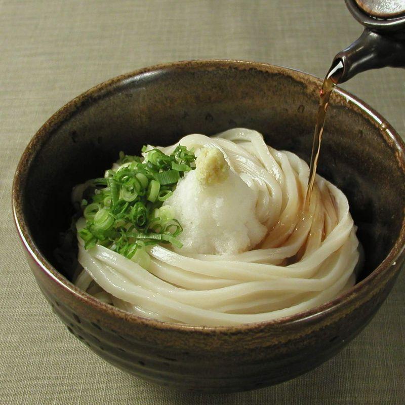 3996 讃岐うどん 並切麺 半生 生醤油セット さぬきうどんの亀城庵 (300g×8袋、だし醤油 200ml×2本)