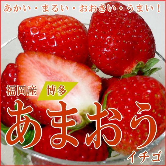 博多 あまおう イチゴ DX 大粒 5L 18個前後入り 2パック入り箱 540g 福岡産| イチゴ デラックス はかた あまおういちご 甘王 苺 ストロベリー DX