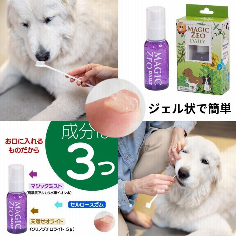 CLEAN WAN 犬・猫用口腔ジェル15g 6本セット CLEAN WAN 犬・猫用口腔ジェル15g 6本セット 【公式通販】
