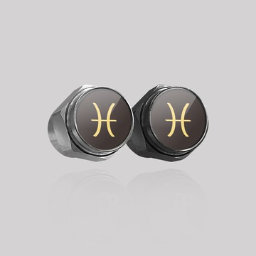 雙魚/汽機車輪胎氣嘴蓋 鋁合金 氣嘴頭 輪胎風嘴 汽嘴蓋 汽嘴帽 SunBrother孫氏兄弟