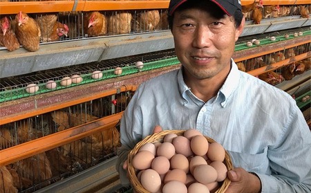 愛され続けて30年 「野菜たまご 元気くん」（40個） 日々のお料理がワンランクアップ!!