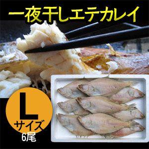 かれい カレイ エテカレイ 一夜干し 大サイズ 6尾入り 干物 山陰 日本海産 兵庫県