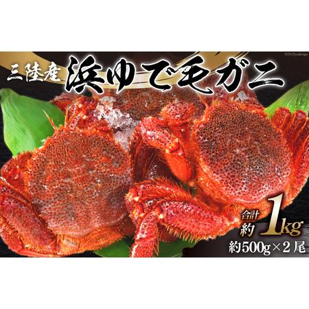 ふるさと納税 ＜先行予約＞かに 三陸産浜ゆで毛ガニ 約500g×2 計1kg [村東商店 宮城県 気仙沼市 20562147] 冷蔵 カニ 毛がに 魚介 海鮮 .. 宮城県気仙沼市