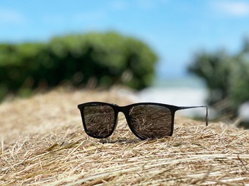 2is TapD 太陽眼鏡 偏光│經典大框方框