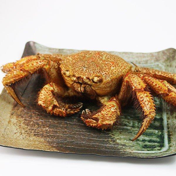 ロシア産 毛ガニ 特大1尾 約900g〜1.1kg 送料無料 毛蟹 毛がに ケガニ 蟹 カニ かに グルメ 食品 お歳暮 ギフト 10%クーポン