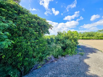 方姐推推恆春市區車程3分鐘-雙面臨路農牧美地｜屏東縣恆春鎮宣化段