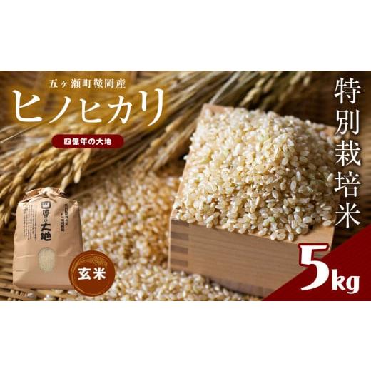 ふるさと納税 宮崎県 五ヶ瀬町 特別栽培米  四億年の大地（ヒノヒカリ玄米） 5kg
