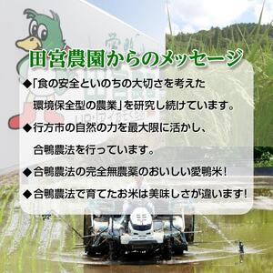 L-16 令和5年産アイガモと一緒に育てたお米「愛鴨米・玄米」3kg×6回