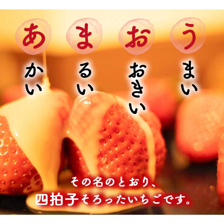 あまおう いちご 500g-1000g 福岡県産 イチゴ 秀品 ギフト 贈り物 プレゼント お祝い 果物 フルーツ 先行予約 クール便