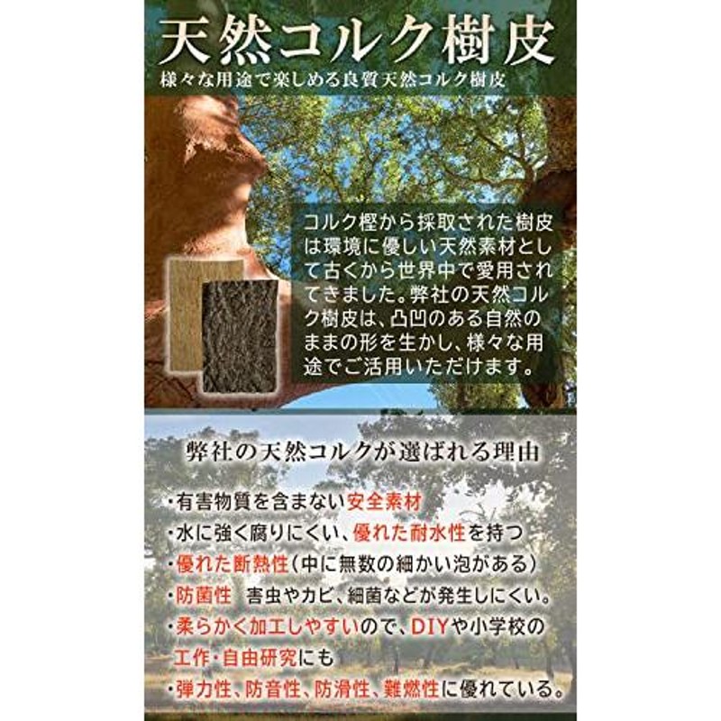 WinJapan コルク樹皮 着生 エアプランツ チランジア バークチップ