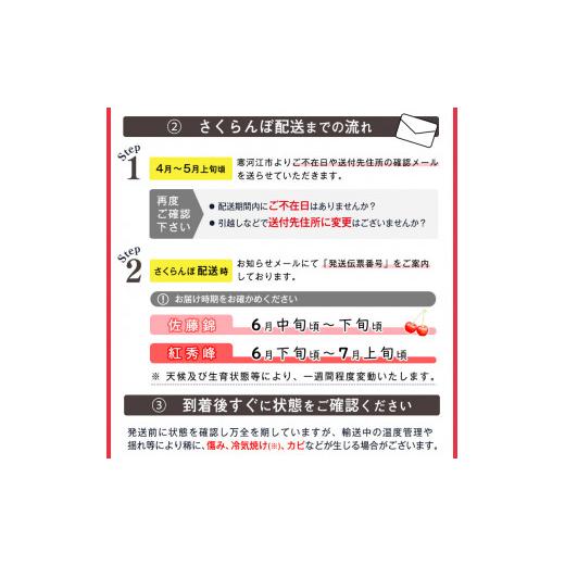 ふるさと納税 山形県 寒河江市 さくらんぼ 「佐藤錦」 1kg（500g×2） 秀品 Lサイズ  山形県産 2024年産 　0…