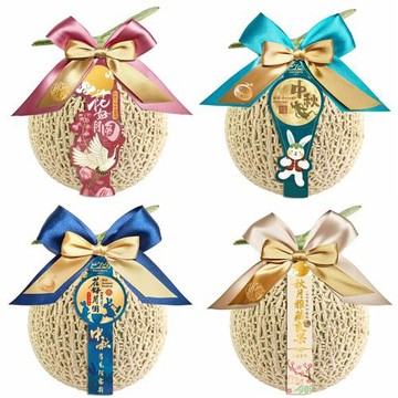 愛蜜果 台灣網紋哈密瓜1入禮盒 約2.5斤/盒 (阿露斯/日本品種)
