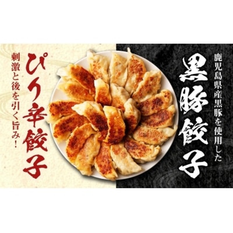 ラーメン横綱】横綱の餃子はニンニク不使用!ぴり辛餃子・黒豚餃子　各5パックセット　LINEショッピング