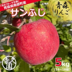 青森 りんご サンふじ( 甘い 完熟ジューシー)　約5kg