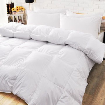 《dreamer STYLE》天然雙人羽絨枕被組(一被兩枕超值組)