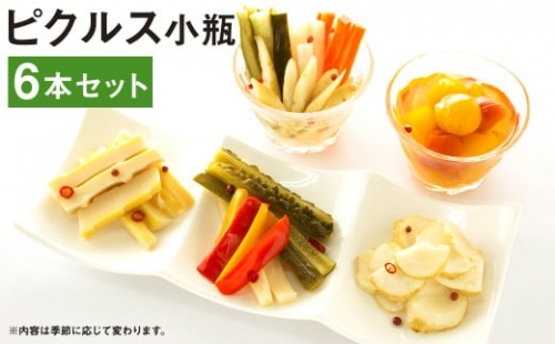 ピクルス 小瓶 (130～150g)×6本 セット  野菜 やさい 瓶詰め 