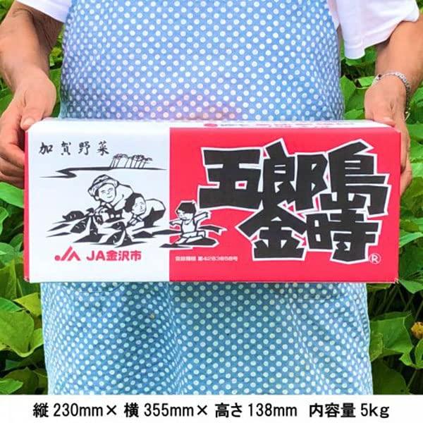 さつまいも・五郎島金時 5kg(約18〜22本入り) 等級：秀 Mサイズ贈答用・生芋・産地直送野菜・ギフト