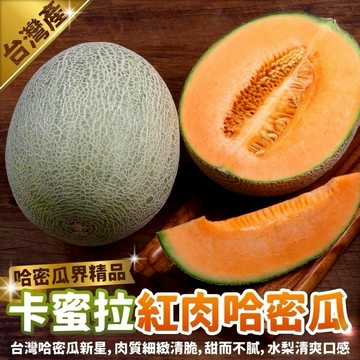 預購【切果季】台灣卡蜜拉紅肉哈密瓜(14斤±10%/5-8顆)