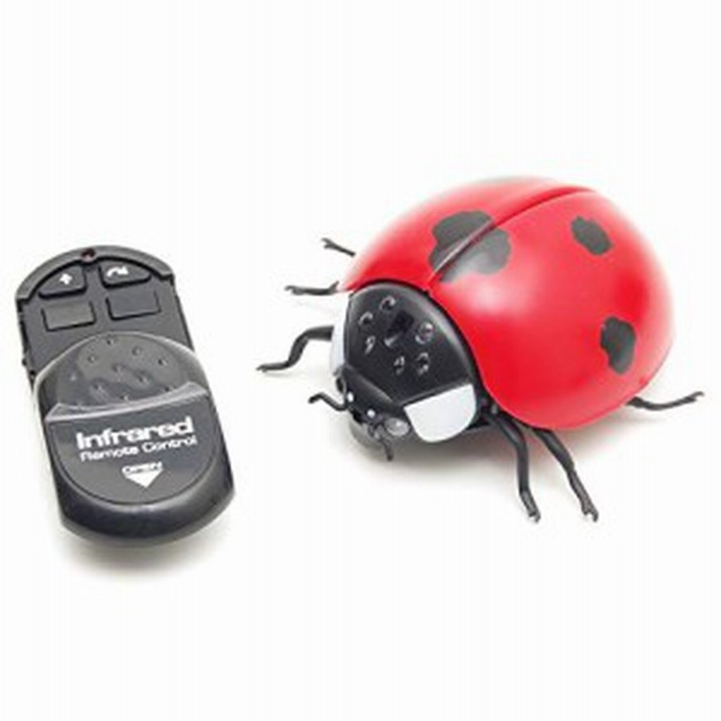 Goodsland リアル 昆虫 ラジコン 虫 2ch Rc 簡単 操作 こども向け 赤外線 通信 おもしろい びっくり おもちゃ 玩具 Gd 通販 Lineポイント最大1 0 Get Lineショッピング