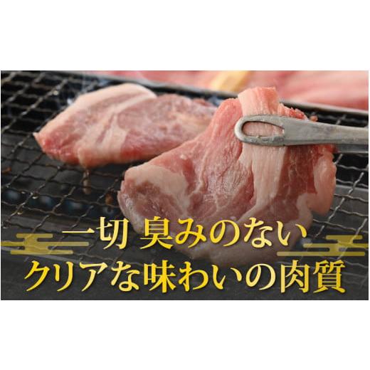 ふるさと納税 福井県 大野市 荒島ポーク食べ比べ焼き肉セット3点盛 700ｇ