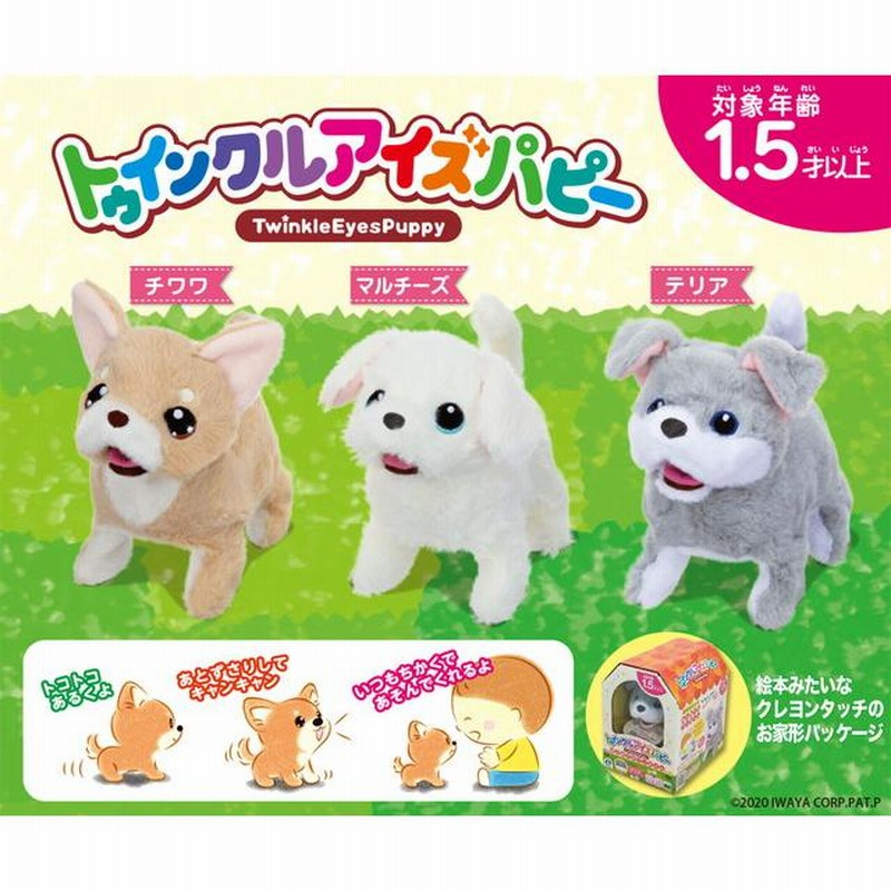 ☆【どうぶつステッカー付き】トゥインクルアイスパピー チワワ