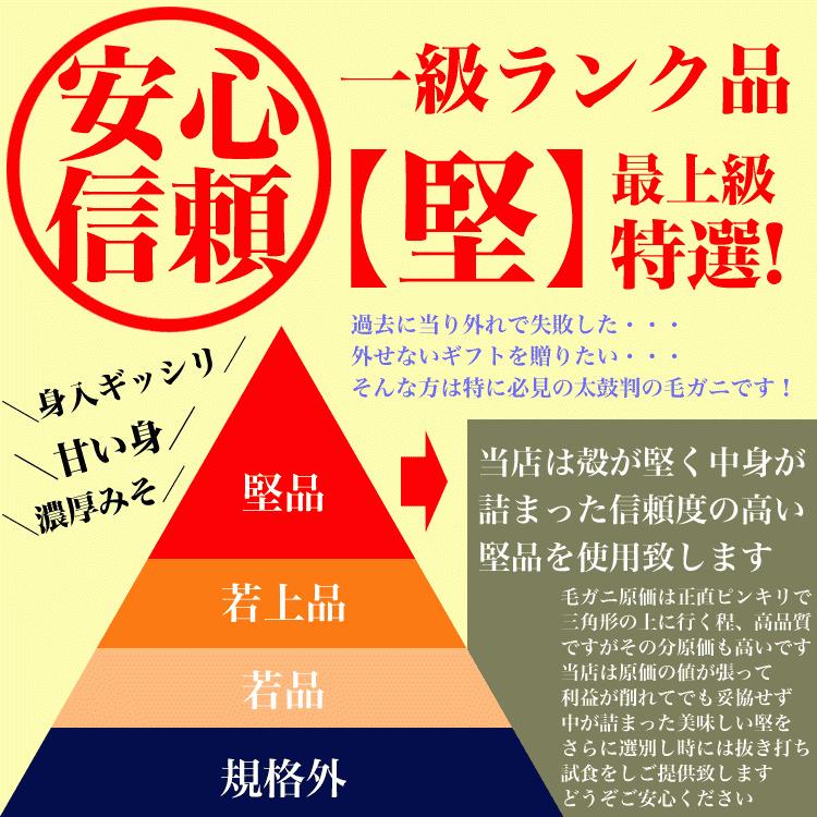 超 特大 スーパー ジャンボ 毛ガニ 1kg前後× 1尾 北海道産 国産 カニ味噌 毛蟹 ボイル みそ かに カニ 蟹 毛がに kegani けがに kani crab 堅