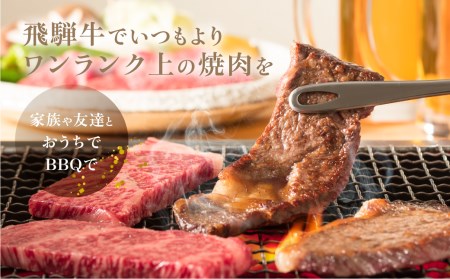 A5等級 飛騨牛 焼肉 4種食べ比べ 600ｇ ≪冷凍≫ 化粧箱入 ブランド牛 国産 霜降 焼肉セット A5等級 のし対応不可 肉の匠家 TR4389 