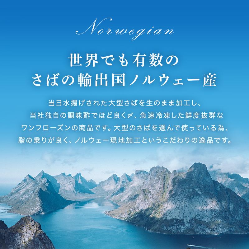 ノルウェー産  塩サバ（生造り）3枚入×3パック ワンフローズン