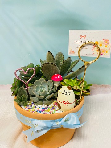 大量訂購專區 多肉客製組盆 婚禮小物 伴娘禮 聖誕節交換禮物