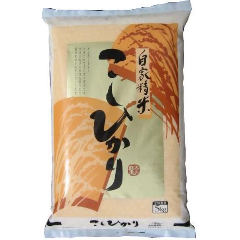 令和５年産新米・栃木県産コシヒカリ5kg