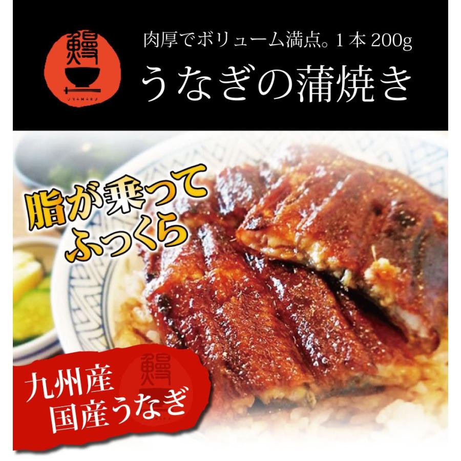 うなぎ 鰻 蒲焼 特大 国産 3尾セット 贈り物 ギフト