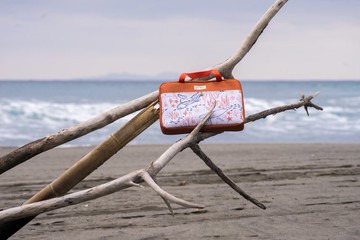 大翅鯨筆電包-晨曦橘