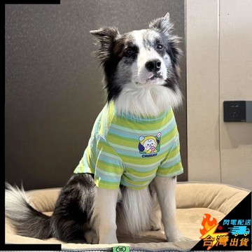 【台灣出貨】寵物服飾 舒適可愛 潮牌夏季短袖 大型犬衣服 條紋衣服薄款 透氣 拉布拉多 金毛 舒適衣服