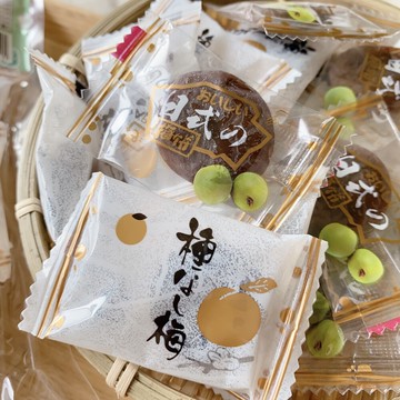 梅子季特賣   還我青春梅 種梅 無籽的梅果肉系列