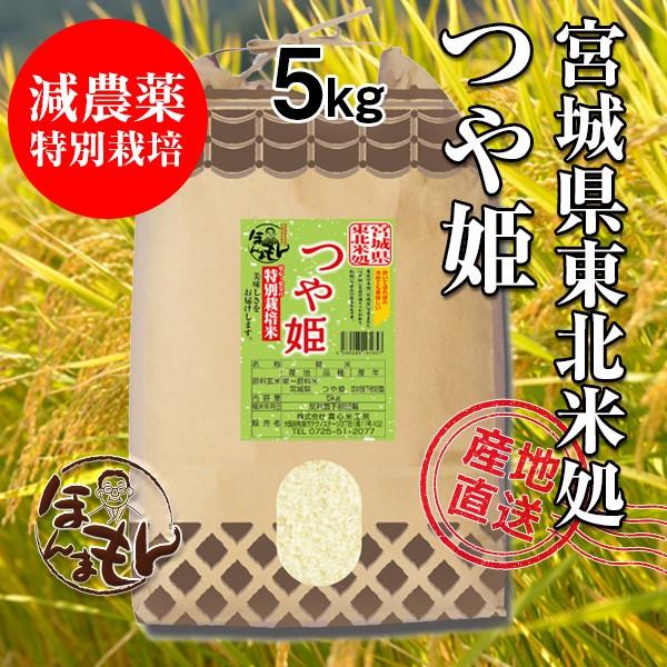 お米 5kg 宮城県つや姫 令和4年産 新米 減農薬特別栽培米