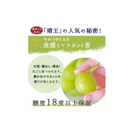 ふるさと納税 ぶどう 2024年 先行予約 シャイン マスカット 晴王 3〜5房 2kg前後 （8月上旬〜9月下旬発送分） ブドウ 葡萄  岡山県産 国産 フ.. 岡山県瀬戸内市