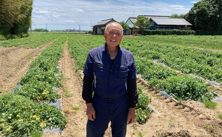 新米 宮城県産つきあかり 精米 白米 10合（一升） 1.5kg