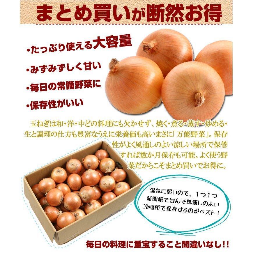 たまねぎ 10kg 淡路島産 送料無料 食品