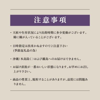 ふるさと納税 笛吹市 先行受付 2024年発送「巨峰」 2〜3房 約1.2kg(2024年8月中旬から順次発送)