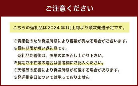 先行予約 あまおう×あまおうセット 約2.1kg